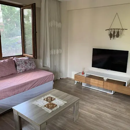 Lejlighed Appartement Agreable Au Centre De Yalova Yalova (Yalova)